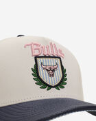 PRO STANDARD Chicago Bulls Pro Pinch Snapback BCB7516630-WMN cream 2