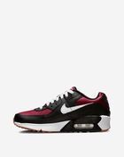 Grade School Air Max 90 LTR