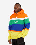 Stripe Polo Hoodie