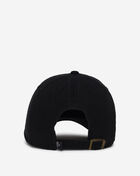 Atlanta Falcons Dad Cap