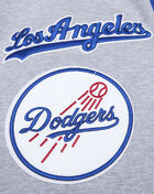 PRO STANDARD Los Angeles Dodgers Mashup Rib Crewneck  LLD533334-HDB Grey 2