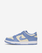Nike Big Kids' Dunk Low FB9109-400 Blue 1
