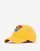 Retro Fitted Hat