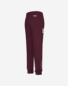 PRO STANDARD Big Boys' Philadelphia Phillies Classic Fleece Sweatpant LPHB4315077-WNE Red 3