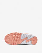 Grade School Air Max 90 LTR SE