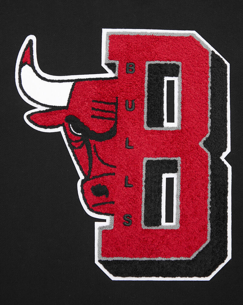 PRO STANDARD Chicago Bulls Mash Up Rib Fleece Pull Over Hoodie BCB5515748-BRK Black 2