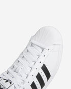 Pro Model