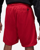 Essential Mesh Graphic Shorts