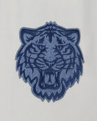 Detroit Tigers Varsity Blues Denim Varsity Jacket 