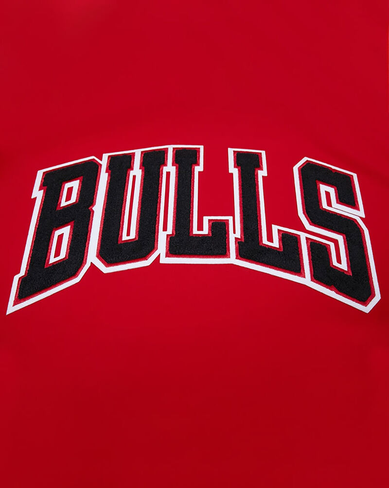 PRO STANDARD Chicago Bulls Retro Classic Striped Tee BCB156010-RBK Red 4
