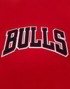 PRO STANDARD Chicago Bulls Retro Classic Striped Tee BCB156010-RBK Red 4