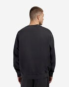 AAPE Washed Fleece Crewneck AAPSWMC350XXP-BKL Grey 2