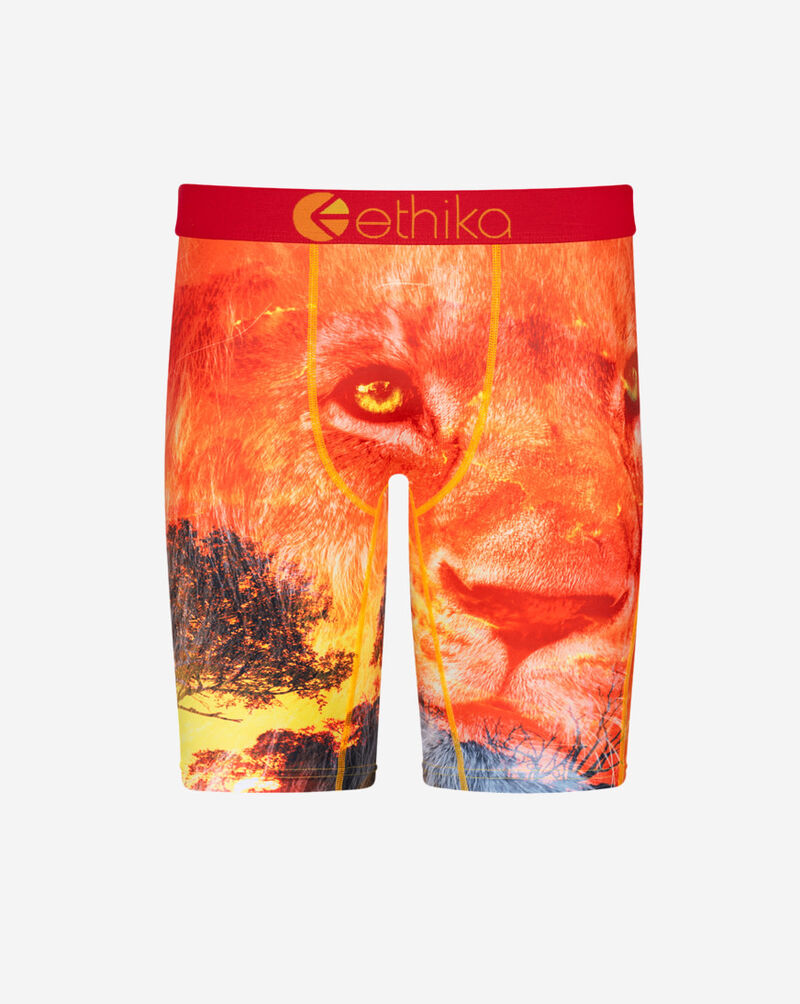 Kotj Briefs
