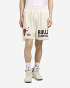 Chicago Bulls Mesh Practice Shorts