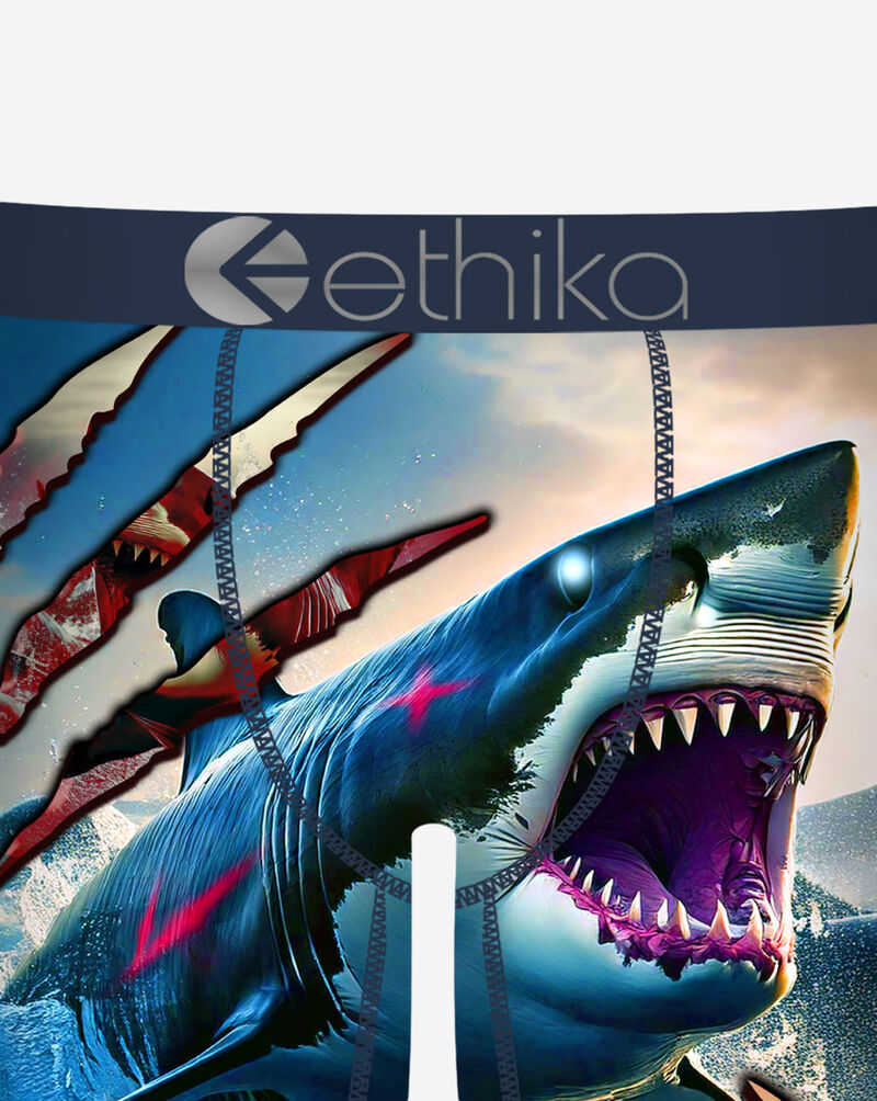 Ethika Jaw Dropped Briefs  BFAAAH2502 Multi 2