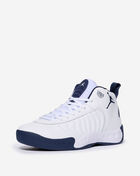 Jordan Jumpman Pro DN3686-101 White 2