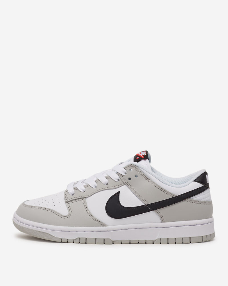 Nike Dunk Low DR9654-001 Grey 1