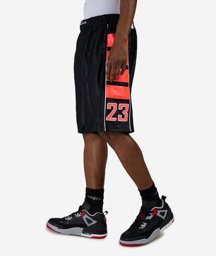 Brooklyn Cat Scratch Shorts