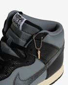 Dunk High Retro 