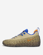 Nike S.T. Charge "Rugged" IZ6735-200 Beige 1