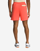 Coordinates Utility Shorts