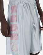 Jordan Brooklyn Cat Scratch Shorts HV0560-472 Blue 3