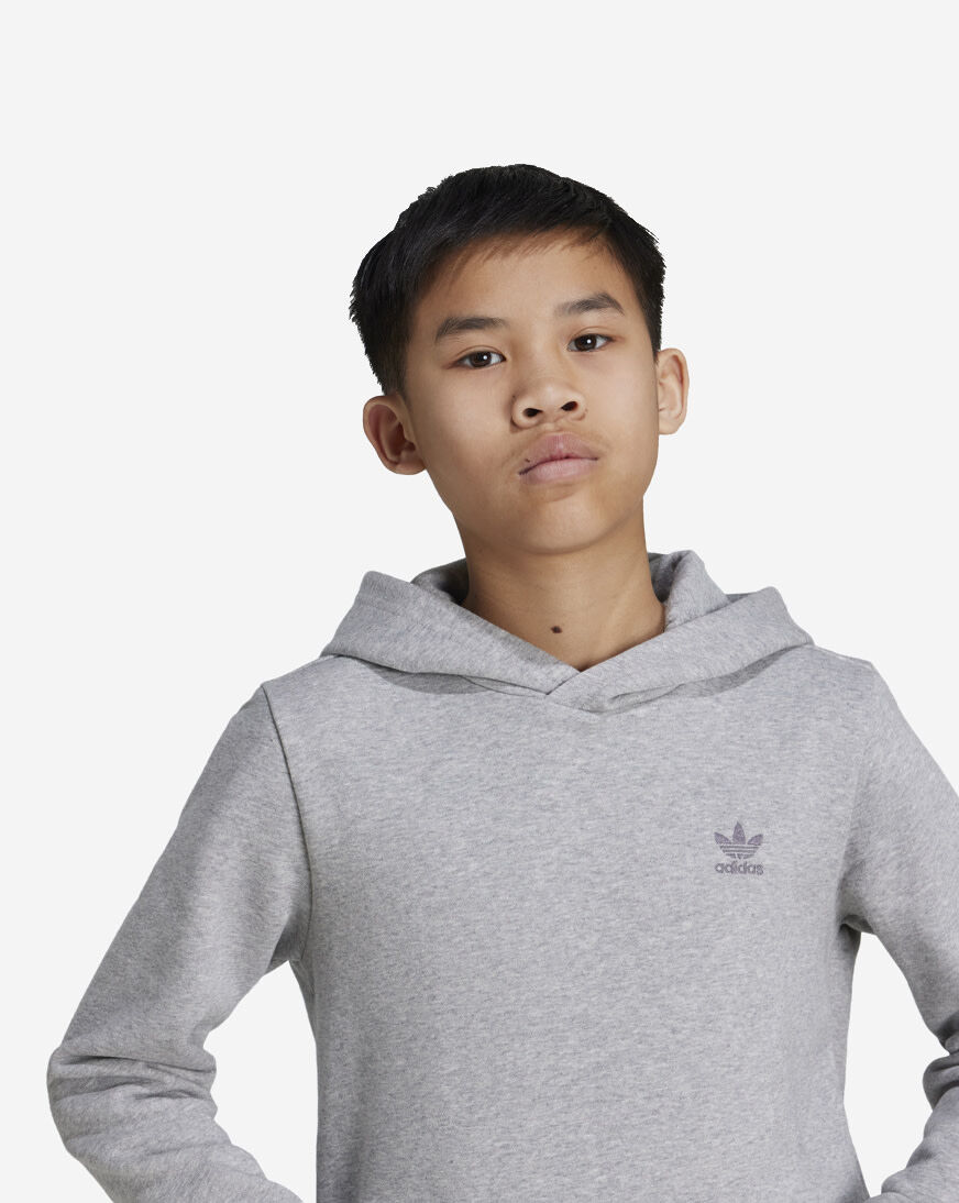 Shop adidas Big Kids' Essential Fleece Hoodie IX5285 grey | SNIPES USA