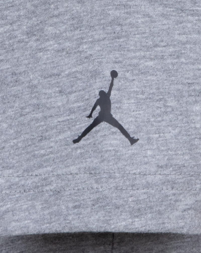 Jordan Grade School Air Jordan Comics Dunk Tee 95D256-GEH Grey 4