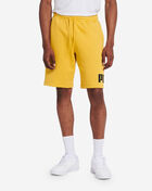 Big Fleece Logo Shorts