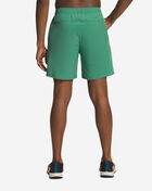 Wander Shorts