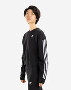 Adicolor 3 Stripe Cropped Sweatshirt