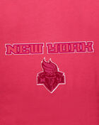 PRO STANDARD Big Girls' New York Liberty Classic Triple Pink Crewneck  WNLBC70123-BPU Pink 2