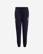 PRO STANDARD Atlanta Braves Classic Fleece Sweatpant LABG34345-MDN Blue 1