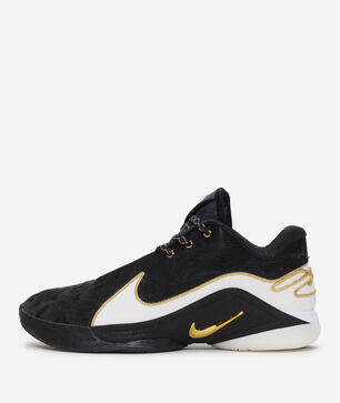 LeBron XX11