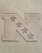 PRO STANDARD Detroit Lions Wingspam Drop Shoulder Tee FDL1410527-TAU Beige 2