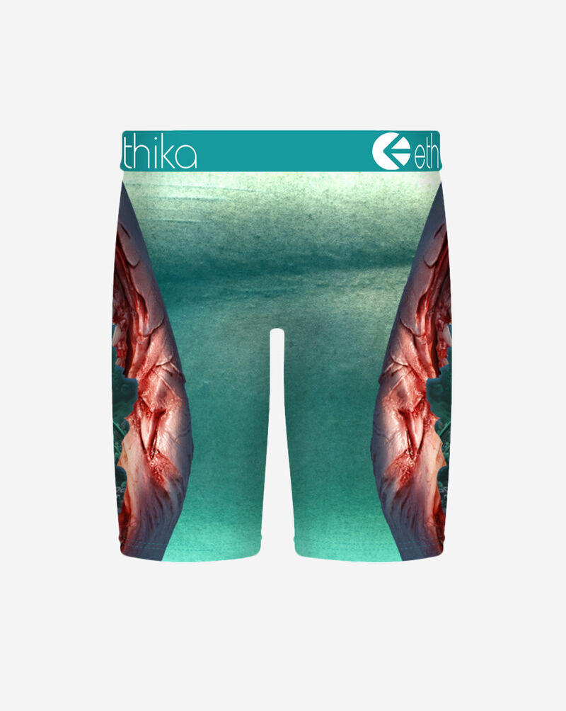 Ethika Grade School Food Chain Briefs BLST3595 Multi 3