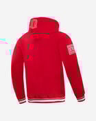PRO STANDARD Detroit Red Wings Retro Classic Fleece Pullover Hoodie HDR567534-RED Red 3