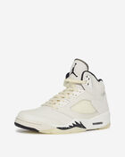 Air Jordan 5 Retro SE