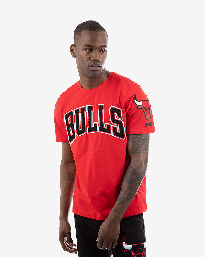 Shop PRO STANDARD Chicago Bulls Tee BCB151539RED red SNIPES USA