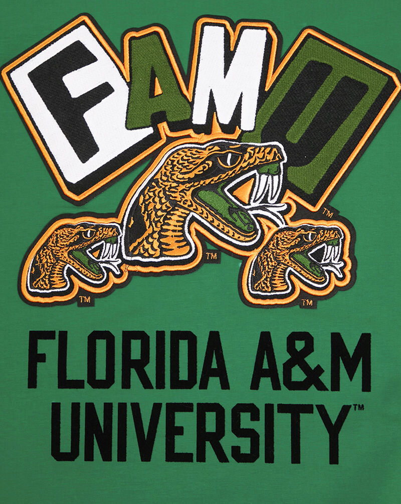 PRO STANDARD FAMU Homecoming Tee CFA171498-KGR Green 4
