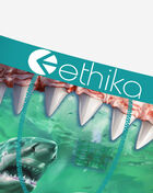 Ethika Food Chain Briefs MLUS3595 Multi 2