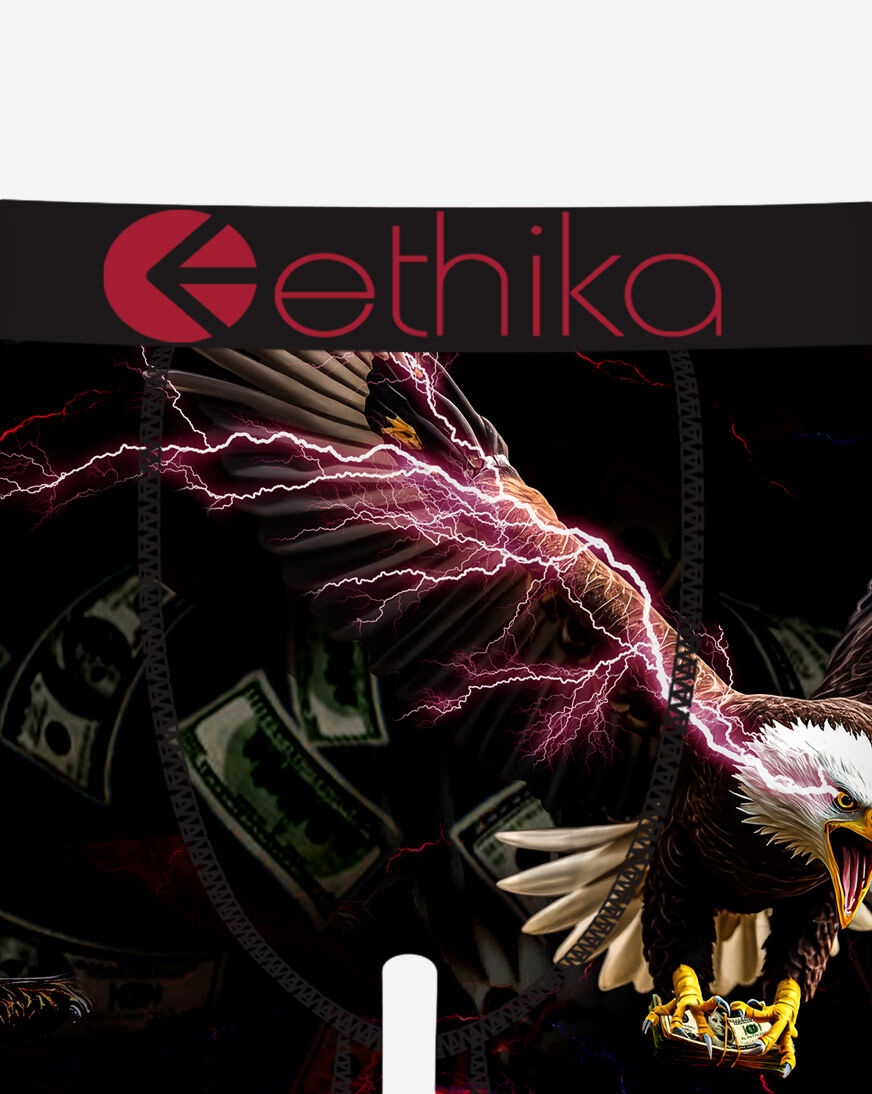 Shop Ethika For Freedom Briefs MHOAAJ2518 multi | SNIPES USA