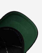Carolina Panthers Double Header Hitch Snapback Hat