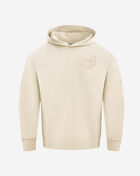 Detroit Pistons Neutral Drop Shoulder Fleece Pullover Hoodie