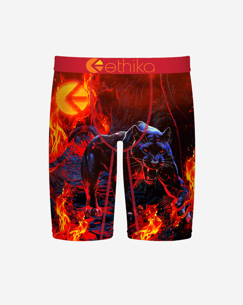 Ethika Grade School Firewalker Briefs BLST3599 Multi 1