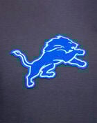 PRO STANDARD Detroit Lions Classic Chenille Double Knit Pull Over Hoodie FDL5410272-GRY Grey 2