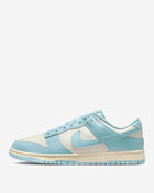 Nike Dunk Low Retro HF5441-103 Blue 1