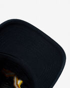 University of Michigan Dad Cap