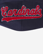 PRO STANDARD St. Louis Cardinals Classic Fleece Pull Over Hoodie  LSCC35213-MDN Blue 2