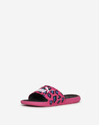 Pre-School Cool Cat Summer Roar Bx